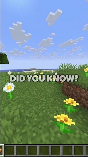 minecraft facts