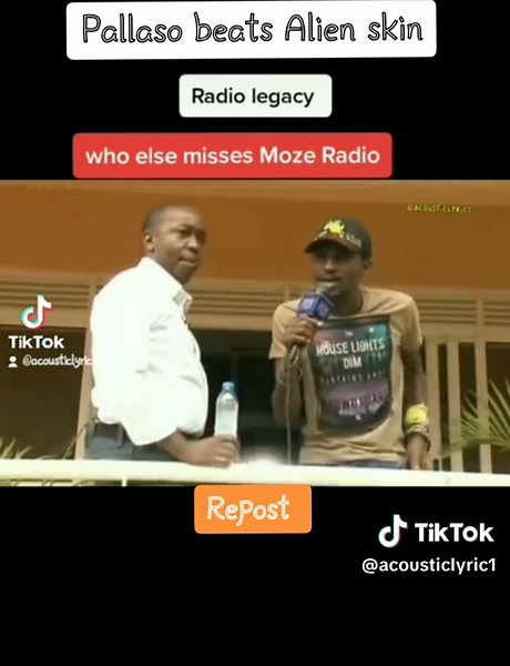 Pallaso: Beats from Alien Skin