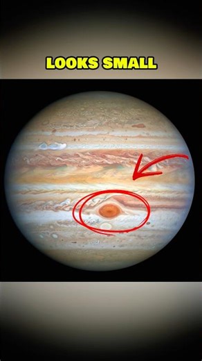 We are smaller than you think🫣