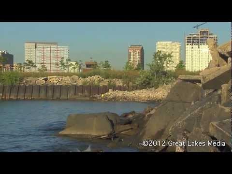 Great Lakes Invasive Species Documentary