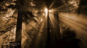 GIOVANNI MARRADI - Shadows（钢琴曲）