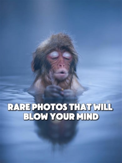 Rare Photos You've Probably Never Seen (Part 80)