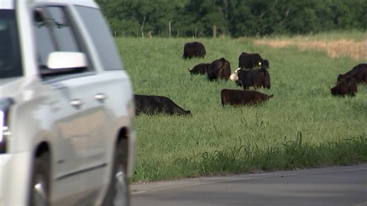 More than $200M designated for TN rural health care