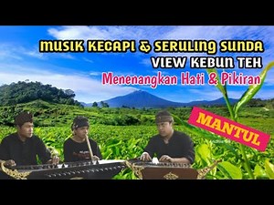MUSIK KECAPI DAN SERULING SUNDA TERBAIK DENGAN VIEW KEBUN TEH MENYEJUKKAN HATI DAN PIKIRAN