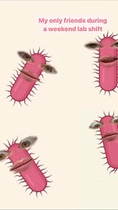 7.8K views · 121 reactions | #science #molecularbiology #biology | Microbiologists | Facebook