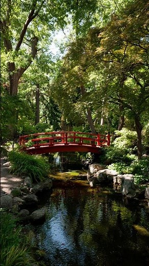 Top 10 Zen Garden Scenes You’ll Fall in Love With