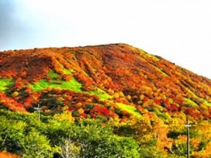 那須温泉郷は紅葉と温泉の名所 [温泉] All About