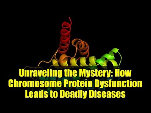 Unraveling the Mystery: How Chromosome Protein Dysfunction Leads to Deadly Diseases