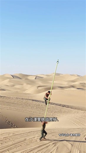 The inherited bamboo pole craftsmanship of Chinese intangible cultural heritage #bamboo acrobatics