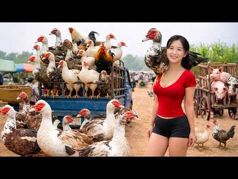 Harvesting Many Muscovy Ducks & Giant Free-Range Pigs – Selling at the Market | 365 Days Farm Life