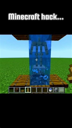 Minecraft hack...#shorts#minecraft#hack
