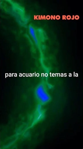 Can Aquarius and Cancer be faithful? ♒🤝♋ The invisible pact
