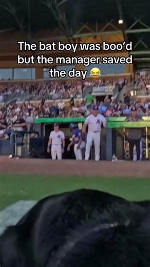😂😂😂 (via @champ.the.retriever/TT)