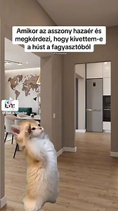 🫡 | Myonlineradio.hu