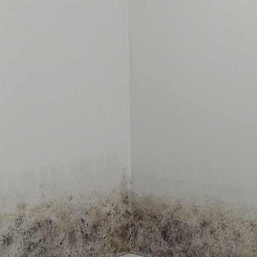 Clean, eliminate and prevent mold and musty odors with Concrobium Mold Control. | The Home Depot | Facebook