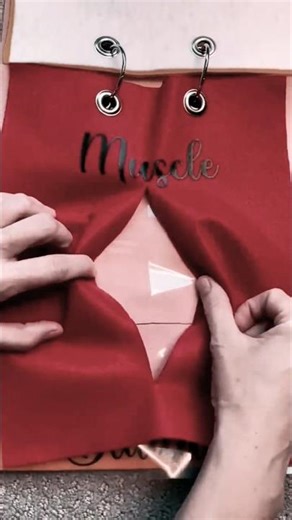 Abdominal Surgery Incision Layers | Surgical Cut Layers Explained