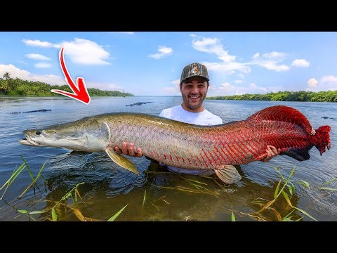 I Caught My DREAM FISH in a POND!! (Arapaima)