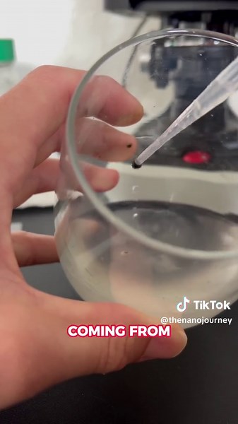 Analyzing mold under the microscope! Hope you enjoy. . . . . . . . . . . . . . . . #mold #microscopy #science #biology #fungi #microorganisms #nature #microbiome #hyphae #moldgrowth #timelapse #microscopicworld #naturelovers #scienceeducation #educational #STEM #microbiology #fungusamongus #moldundermicroscope #amazingnature #scienceisawesome #discoveryscience #lablife #mycology #environmentalscience #biohacking #healthyspaces #moldprevention #microscopelab #scienceexperiment #lifesciences #natu