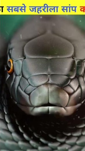 Top 3 Unique Facts 😱