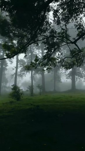 This type weather  | Wild Wonders | Facebook