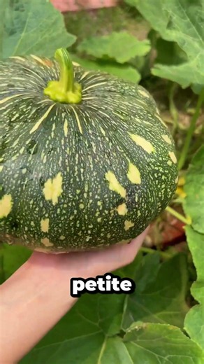These Fruits Hide Incredible Colors Inside 😱🍑🧅