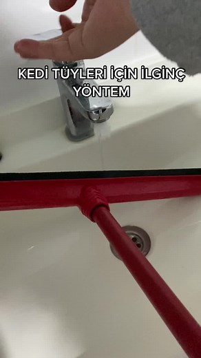 Kedi Tüyleri İçin İlginç Yöntem - Videolu Kedi Tüyü Temizleme Tüyoları