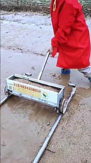 Rice seedling production process in seedbed