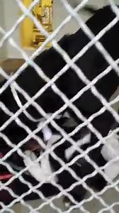 2.4K views · 85 reactions | This is where you see how the blanket...