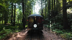 38K views · 239 reactions | The Skunk Train is where vintage charm meets modern comfort ✨ Hop aboard for a ride filled with fresh air, big smiles, and memories made along the way. Your seat is ready! Which car will you choose?  Thank you @cap.ture707 on Instagram for capturing our train beautifully! #FamilyAdventure #TrainRideFun #SkunkTrain #TravelWithKids #WeekendPlans #TrainLovers | Skunk Train | Facebook