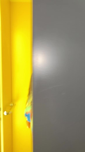 Colorful Fashion Showcase in Front of Elevator