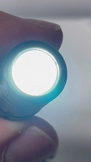 8.3K views · 96 reactions | The Ant - a creature that never evolved. WHY? #evolution #ant #entomology #creationism #amber | Lost World Museum | Facebook