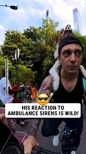 98K views · 1.7K reactions | Who needs a bell, when you have a dog.  | Meme Lord | Facebook