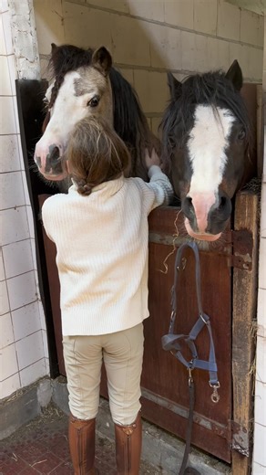 Adorable Pony Moments: Cute Pony Love and Horse Fun