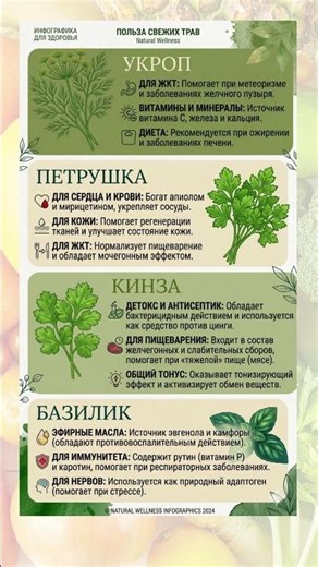 Ешь это каждый день! Секреты укропа, кинзы и базилика #здоровье #питание