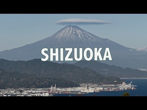 Shizuoka Travel Vlog 🇯🇵 | Mount Fuji Views, Nihondaira, Toshogu Shrine & Local Izakaya Food