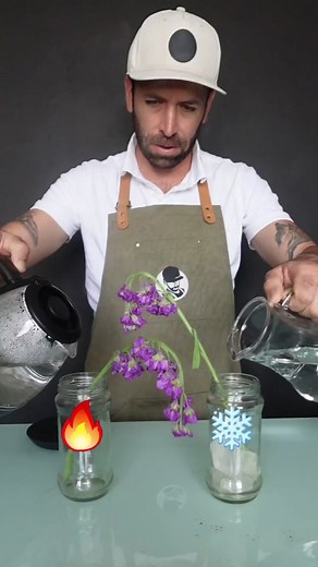 Benefits of Boiling Water for Flowers