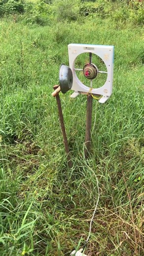 Showcasing a variety of creative bird-scaring devices to protec crops, environmentally effective.