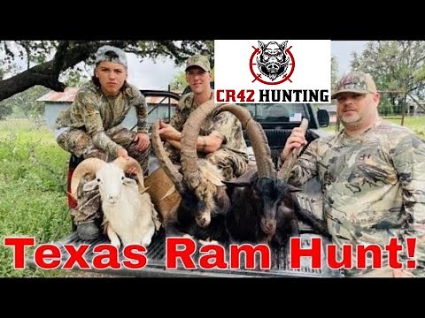 Texas Ibex and Texas Dall Sheep Hunt (actual hunt footage)!
