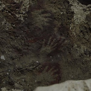 307 reactions · 54 shares | Get cozy and discover 2,400+ shows that cover the world’s biggest mysteries. Time to get curious. | Curiosity Stream | Facebook