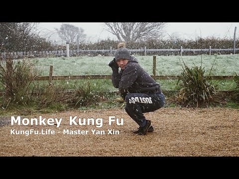 Shaolin Monkey Style