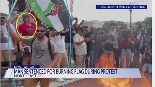 Man sentenced for burning American flag during protest