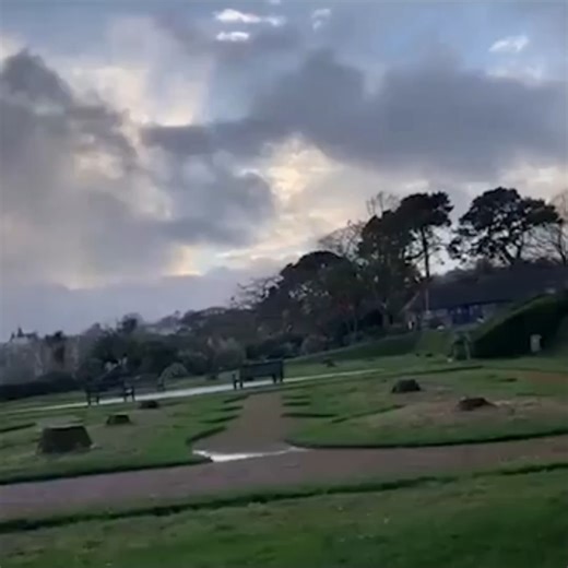 5K views · 28 reactions | There was a public outcry after the trees were felled | Devon Live | Facebook