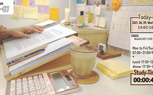 6小时实时学习｜study with me｜一起学习吧｜学习陪伴｜学习打卡挑战｜学习日记｜沉浸式陪伴学习｜轻音乐｜白噪音｜maple自习室