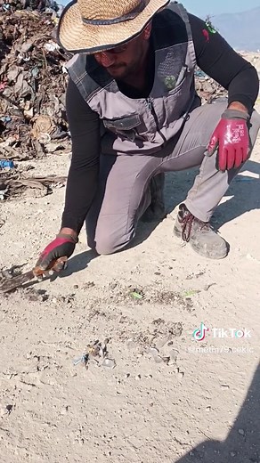 Waste Management: A Guide to Sorting Recyclables