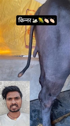 #Timelapse, start to finish alone build log cabin (wooden house), how to build wooden cabin, surviva