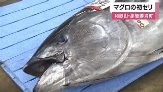 Japan’s Top Tuna Port Opens With 1,300 Tuna