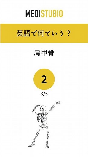 医療英語クイズ #57 人体各器官の名称(骨格編)｜体の部位の名称をどこまで英語で言える？ #看護師 #雑学
