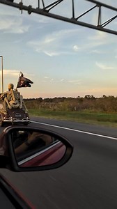 Whattttttt!? This skull's eerie gaze will haunt your Halloween dreams. Dare to look closer? 💀✨ #Halloween #skull #Halloweendecor #skulldecor | Halloween decorations and gift ideas