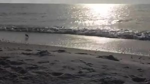 36 reactions | Nice afternoon on the beach. | Cape Escape Vacation Rentals | Facebook