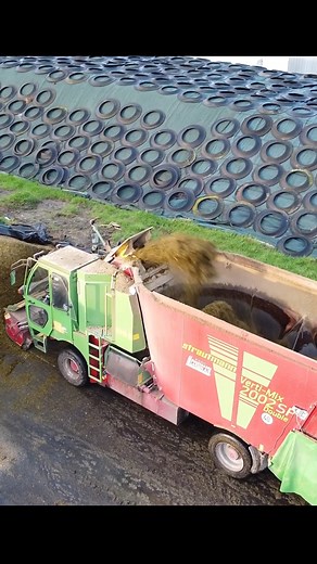 Loading Silage into a Feed Mixer #tractor #cow #farm | Tammie Martinez